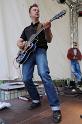 greyhounds 061